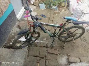 Phoenix Bicycle for sale