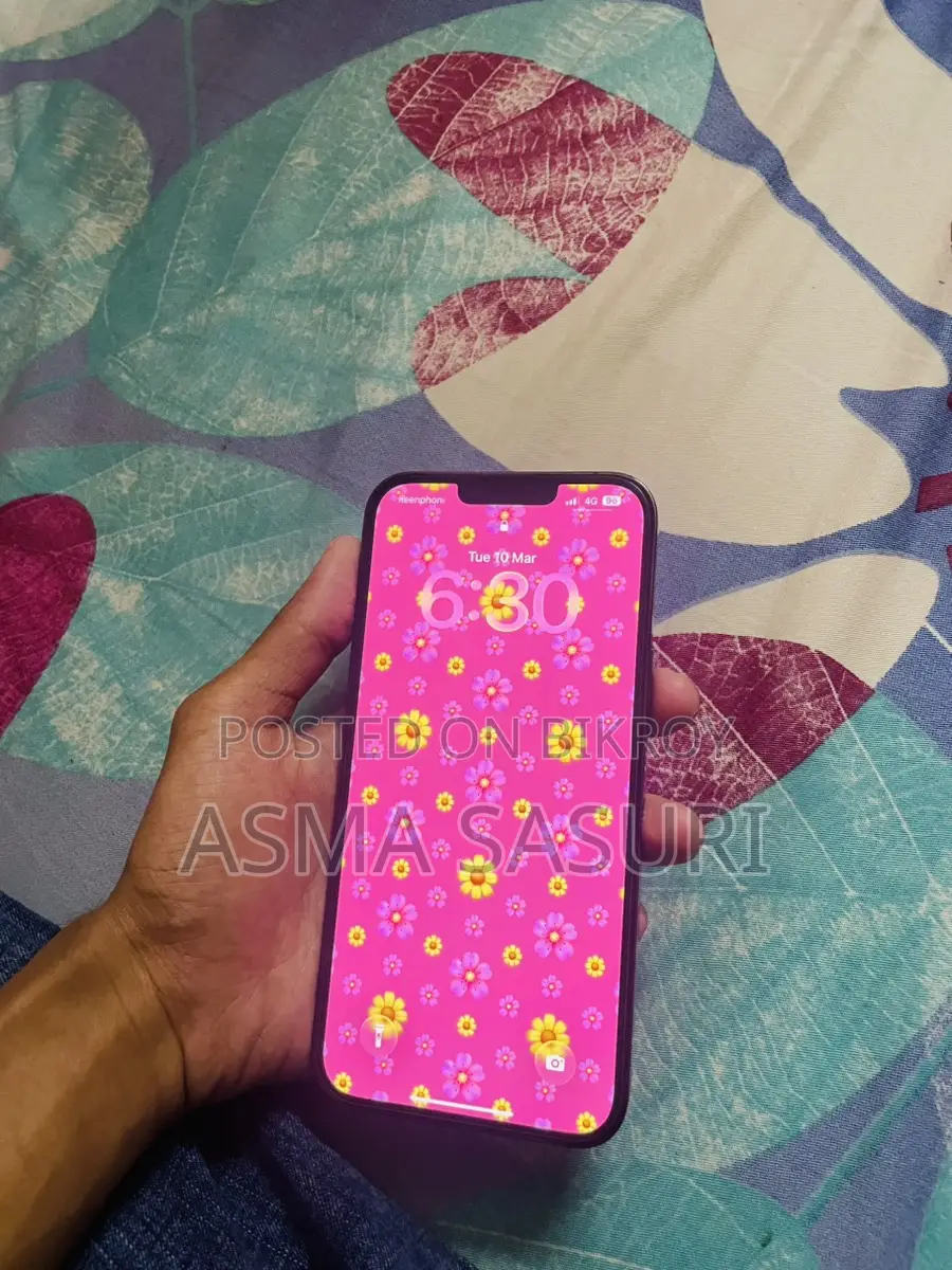 Apple iPhone 13 Pro Max 128Gb (Used)
