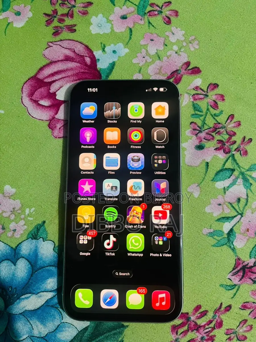 Apple iPhone 15 Plus (Used)