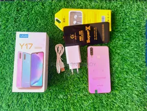 Vivo Y17 8/256 (Used)