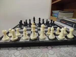 Magnetic and Folding Chess