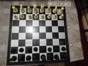 Magnetic and Folding Chess