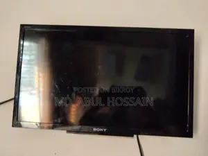 Sony Bravo