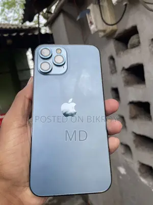 Apple iPhone 12 Pro Max 256GB (Used)