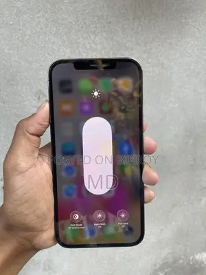 Apple iPhone 12 Pro Max 256GB (Used)