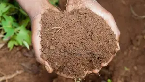 রেডি মিক্স সয়েল (প্রস্তুত মাটি)