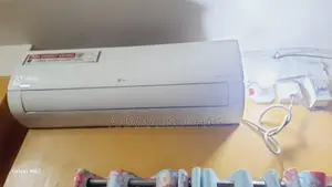 দুই টনের একটি এলজি এসি বিক্রি করা হবে