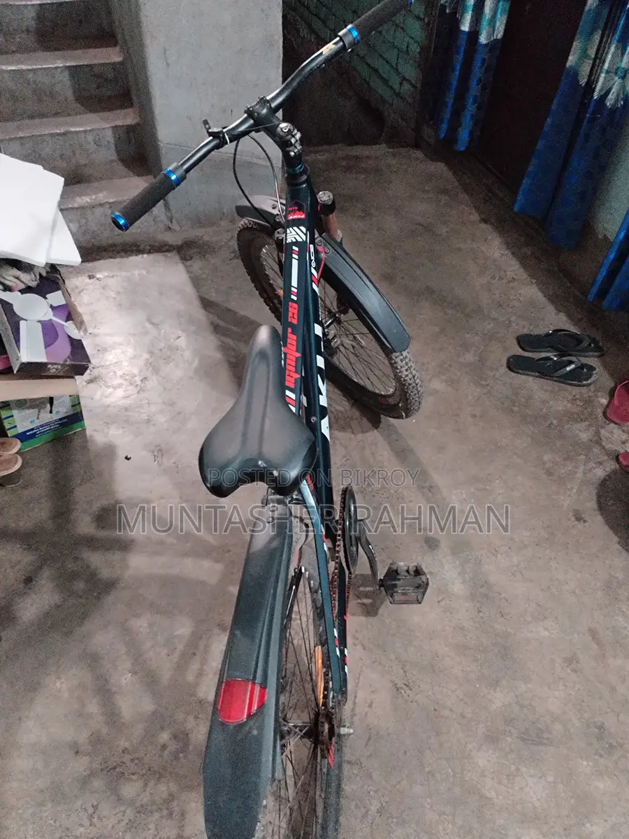 Cycle For Sale