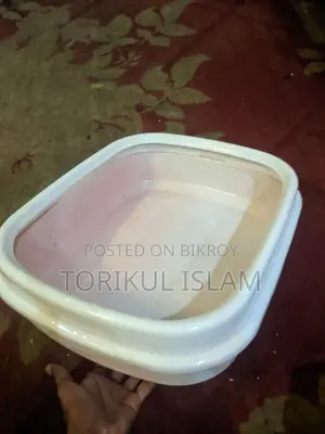 Cat Litter Box