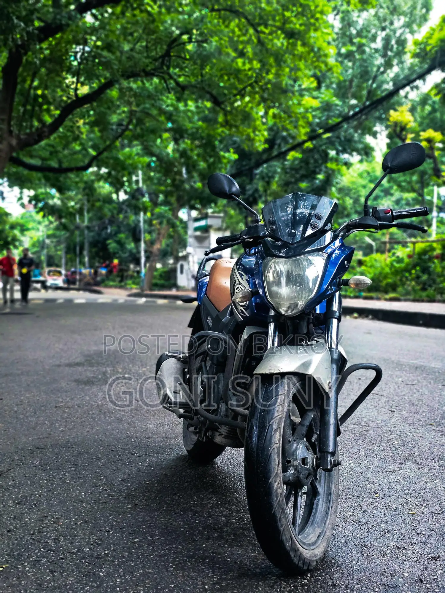 Yamaha FZS 2015