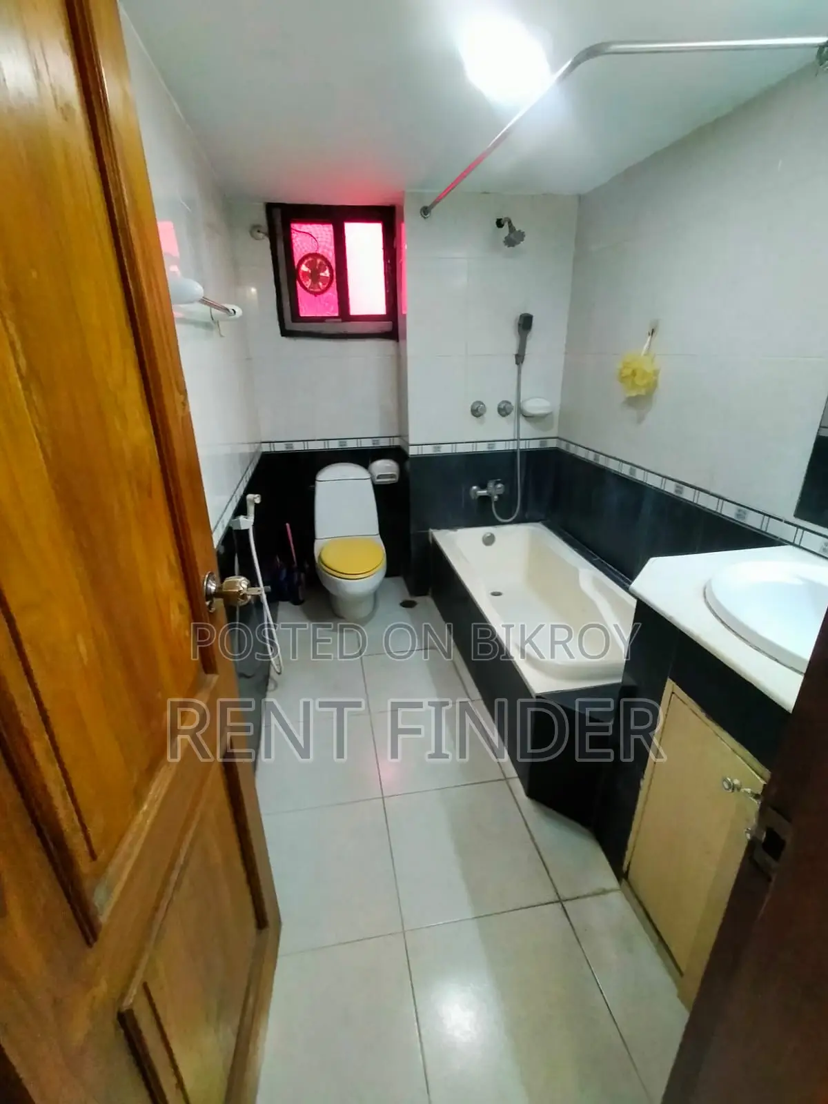 Luxury Fully Furnished Apartment