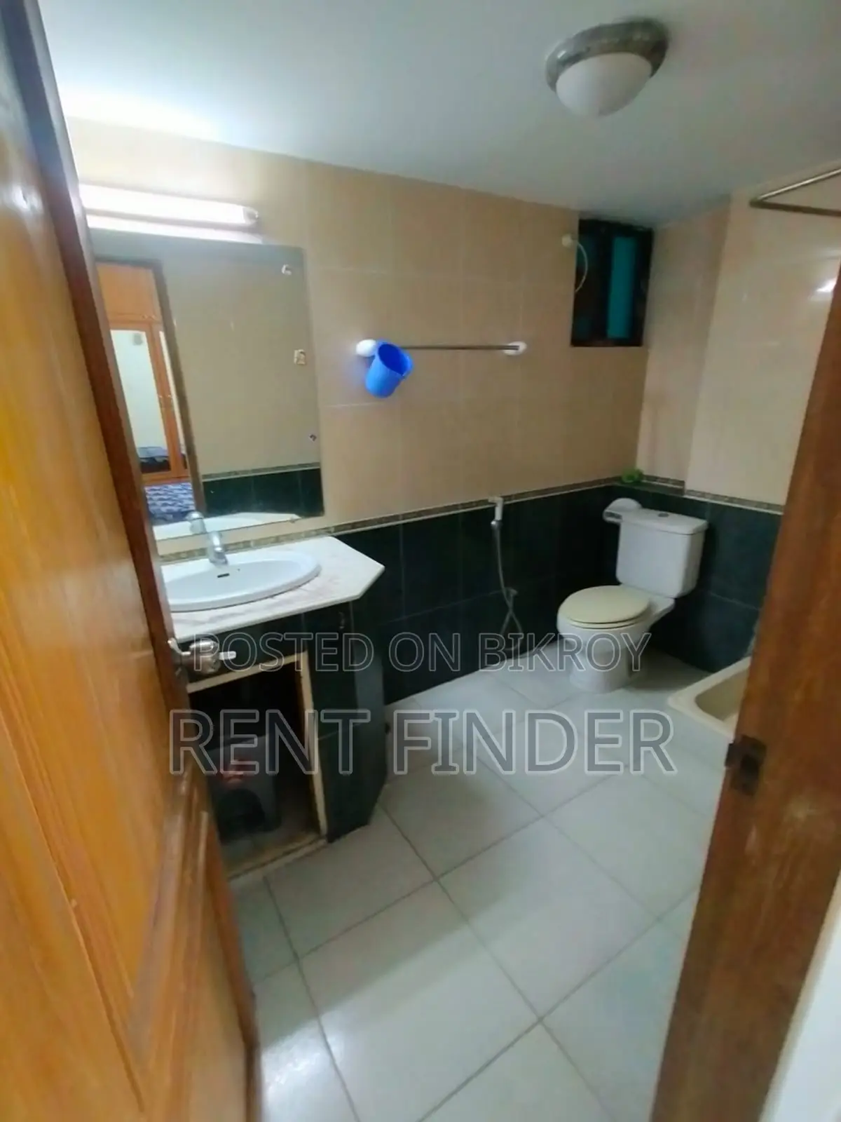 Luxury Fully Furnished Apartment