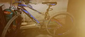 Bicycle for Sale