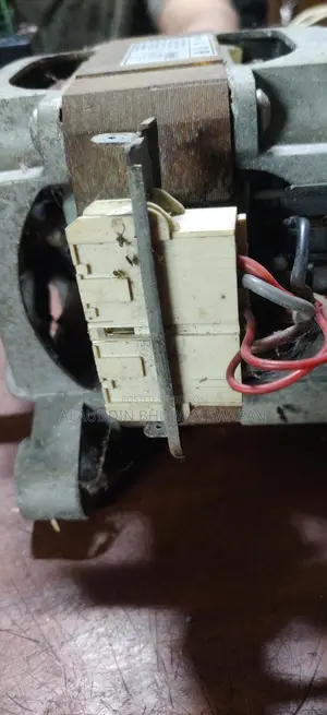 Washing machine motor