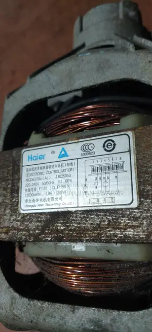 Washing machine motor