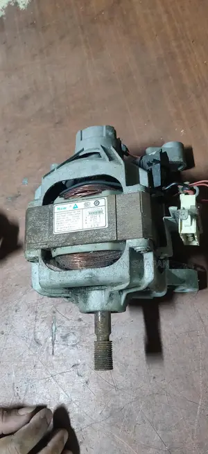 Washing machine motor
