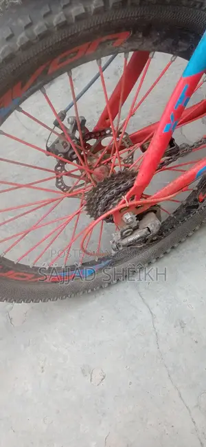 Bicycle for Sale