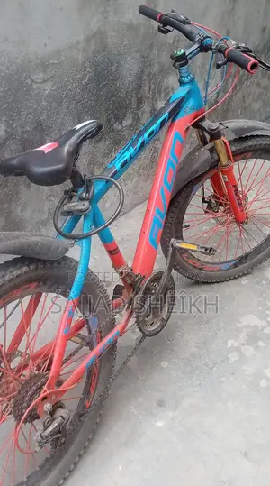 Bicycle for Sale