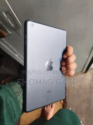 Apple Ipad Mini (used)