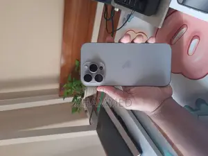 Apple iPhone 16 Pro Max ` (Used)