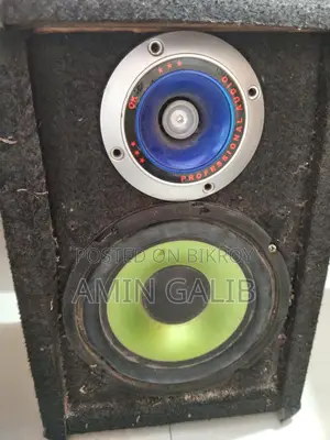 6 Inch 2 Speakers with Cabinet and Tweeter