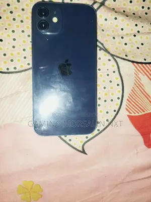 Apple iPhone 12 (Used)