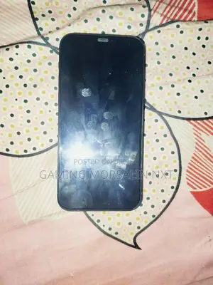 Apple iPhone 12 (Used)