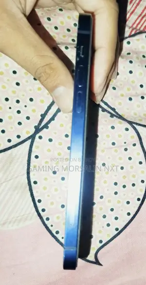 Apple iPhone 12 (Used)