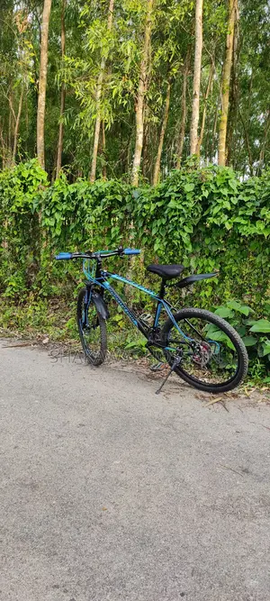 Core Bicycle for Sale
