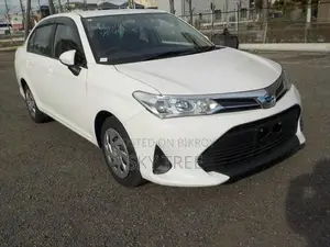 Toyota Axio Hybrid EX 2021