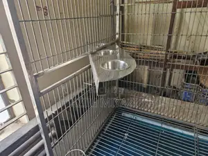 Beautiful Bird Cage