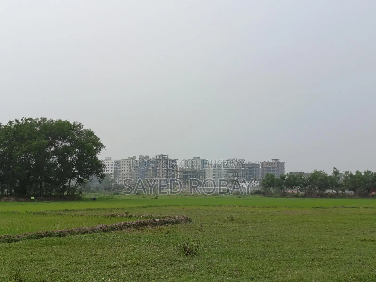 Land for sale in Shaktala Mouza. Across the train tracks. Ward 21.