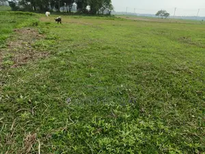 Land for sale in Shaktala Mouza. Across the train tracks. Ward 21.