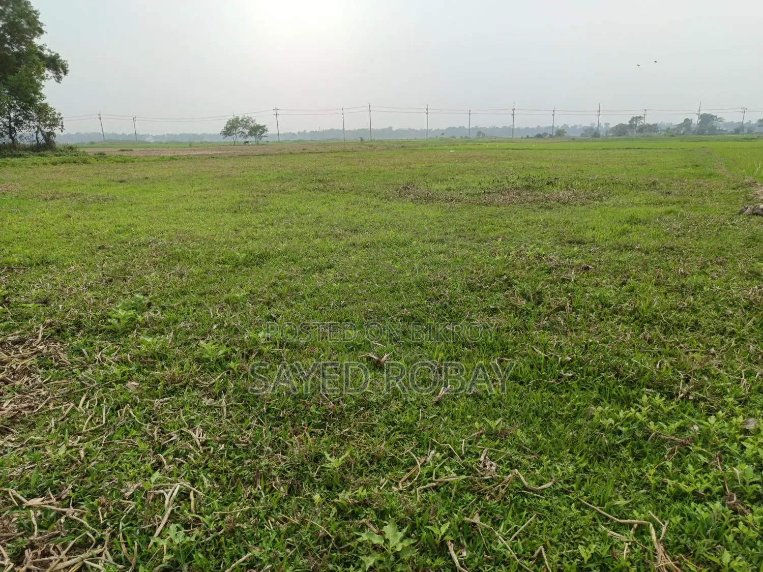 Land for sale in Shaktala Mouza. Across the train tracks. Ward 21.