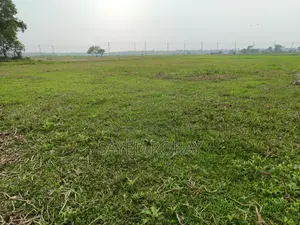 Land for sale in Shaktala Mouza. Across the train tracks. Ward 21.