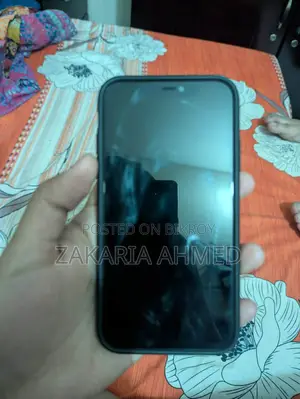Apple iPhone 11 (ব্যবহৃত)