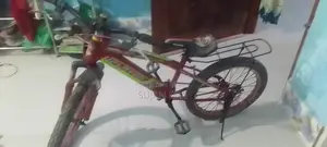 Baby Cycle