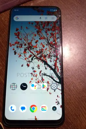Realme C30 (Used)