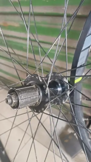 Saracens Rim