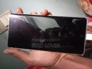 Google Pixel 7 Pro (Used)