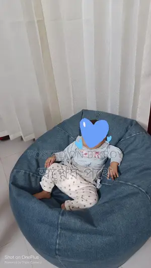 বিন ব্যাগ