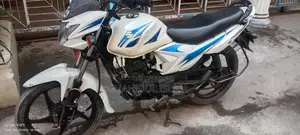 Suzuki Hayate 2018