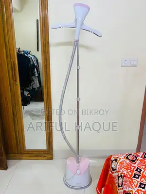 স্টিম আয়রন
