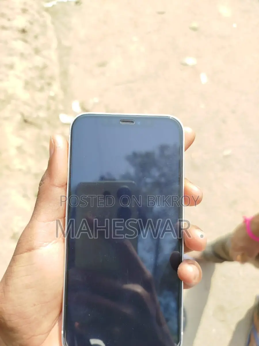 Apple iPhone 12 (Used)
