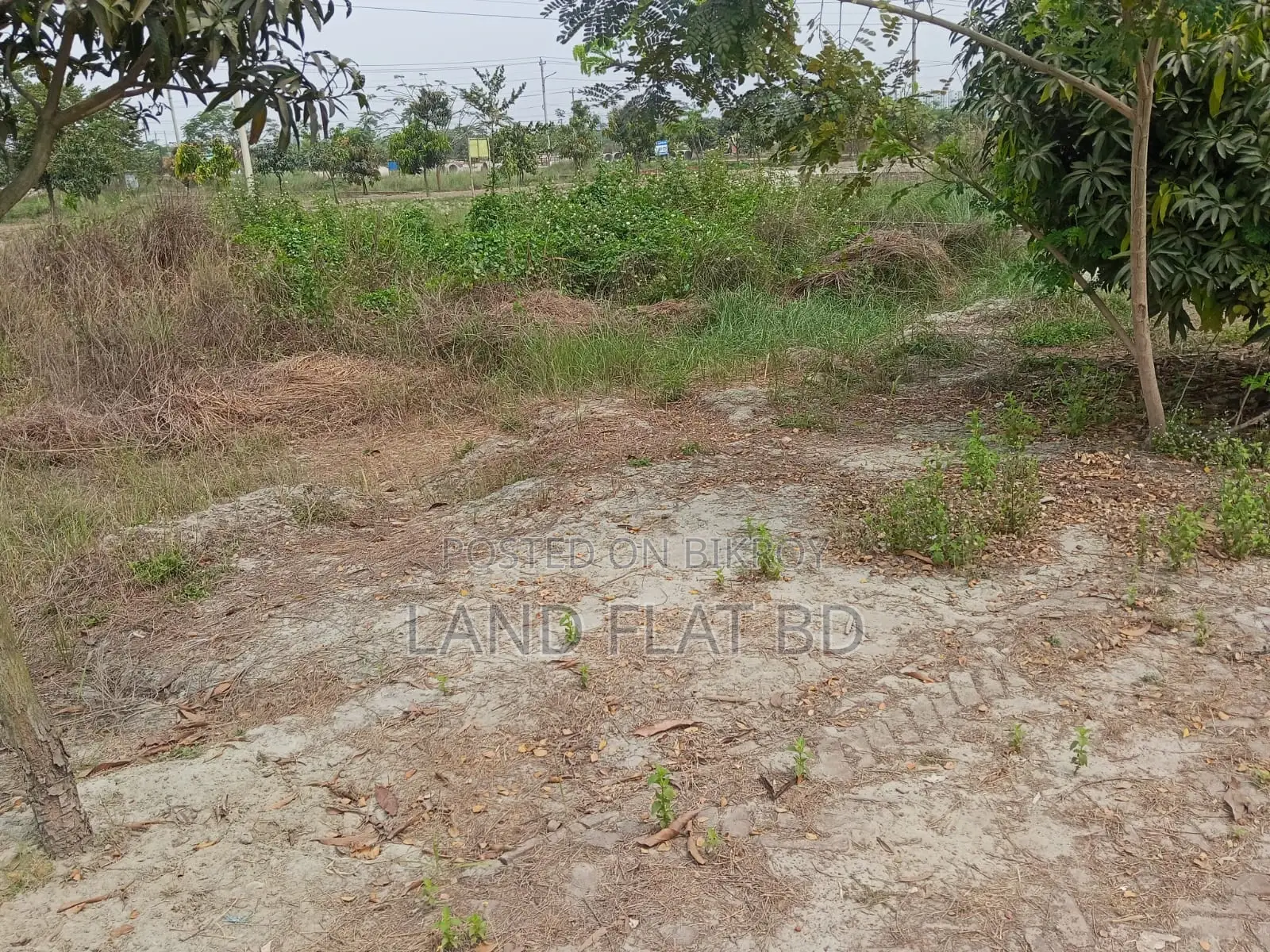 South-Facing @ 4 Katha Plot for Sale, Ati Model Society