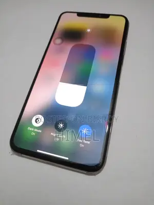 Apple iPhone XS Max 256GB (Used)