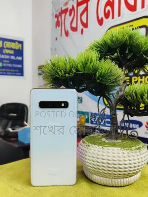Samsung Galaxy S10 8/128 (Used)