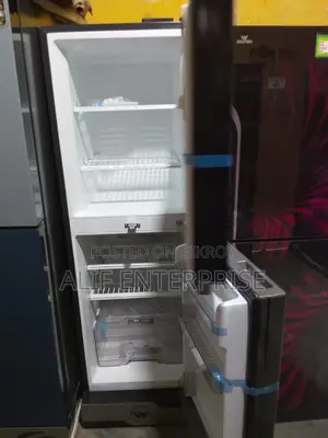 250 Liter Walton Discounted Fridge Model: WFB-2E0-GJXB-SX-P