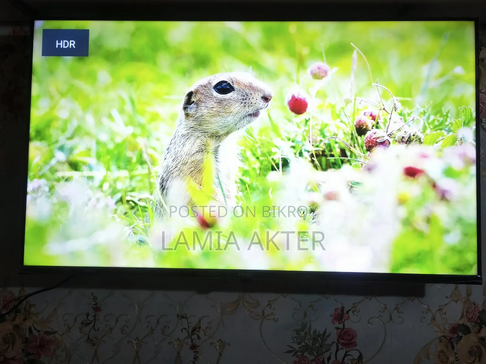 Haier 43" Google Voice TV with Replacement Guarantee and Box