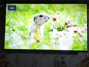 Haier 43" Google Voice TV with Replacement Guarantee and Box